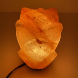 Flower Lamp